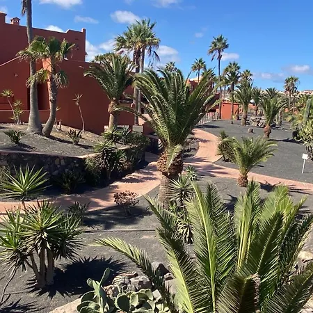 Appartement Small&sunny Wifi Premium