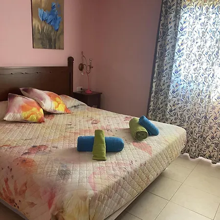 Small&sunny Wifi Premium