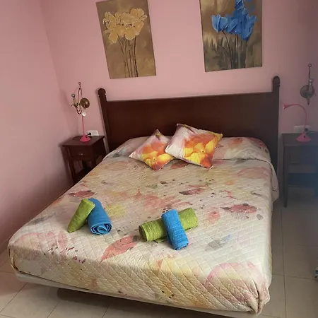 Small&sunny Wifi Premium 코라레호